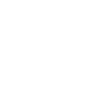 house icon